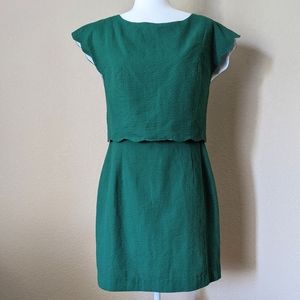 NWT Lauren James Dress